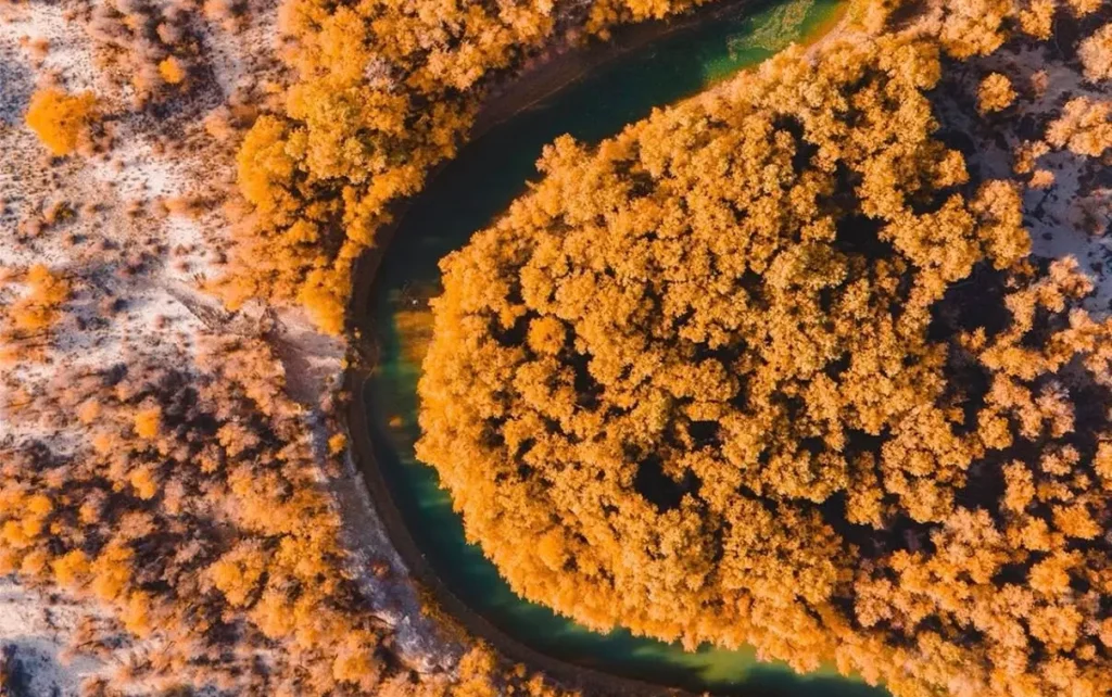 南疆 · 金秋雙胡楊 翡翠湖 15日